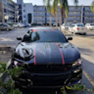 Meet your Posher, Dodge-